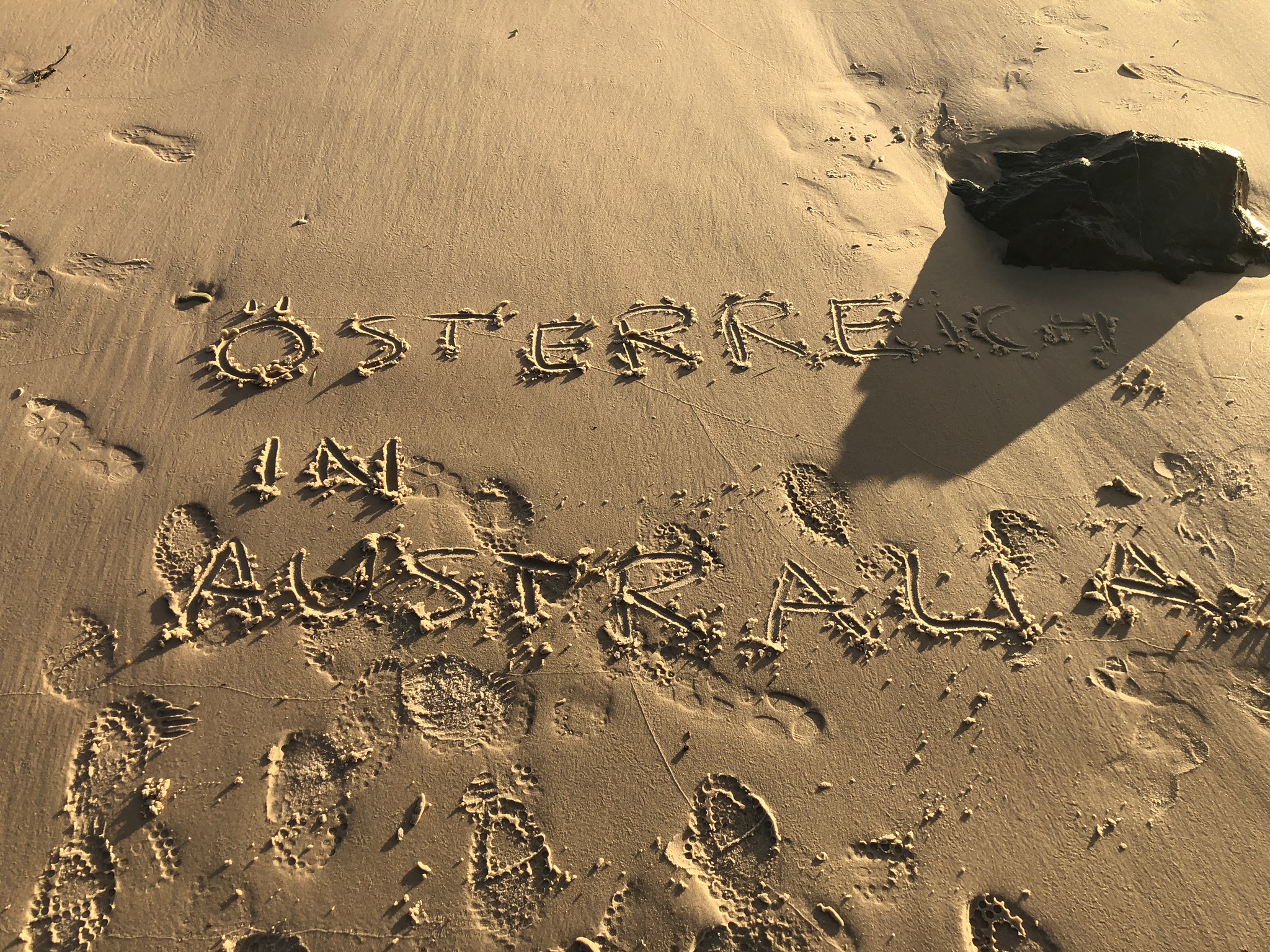 2019 07 15 16 47 29 iPhone X 0008